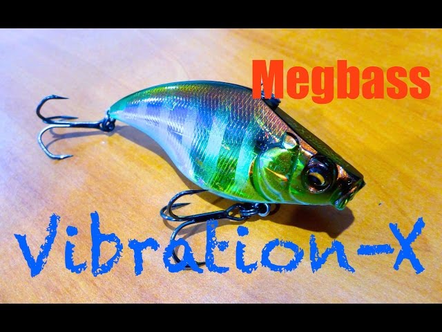 Megabass Vibration-X Rattle-In Review + Underwater Footage - YouTube
