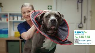 RSPCA Pet Insurance  Puppy Training (60 secs)