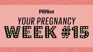 Your pregnancy: 15 weeks