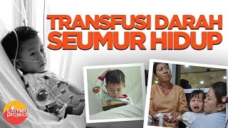 TRANSFUSI DARAH SEUMUR HIDUP - PENYAKIT THALASEMIA