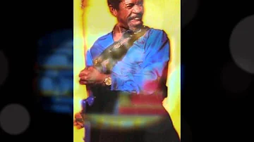 Luther Allison - Will It Ever Change 2010.wmv