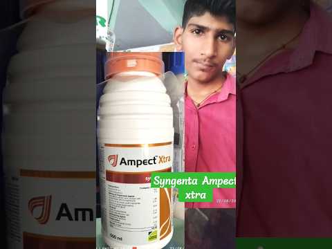 Ampect Xtra Syngenta Fungicide, Viral Fungicides Shortvideo