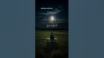 الله نور السماوات والأرض | القارئ ماهر المعيقلي