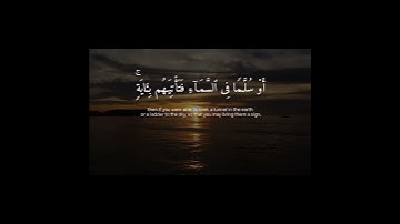 سورة الأنعام بصوت الشيخ ماهر المعيقلي #quran #قران #القرآن_الكريم #اكسبلور