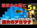『お宅訪問』理想が現実に！水族館級の個人水槽！『日本最大のアロワナ』プラチナアリゲーターガー　巨大オオナマズ　正真正銘の『Monster fish』
