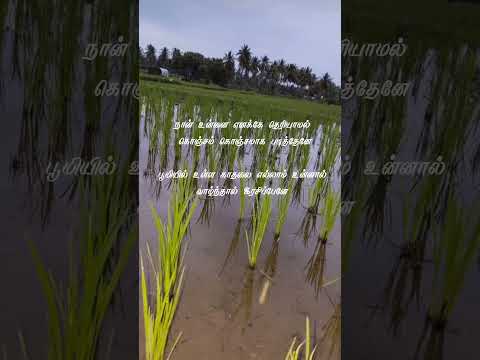 unnal unnal un ninaivaal what's app status||M.s.DhoniTamil ||#love#Sushant singh rajput#kiara advani