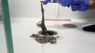 How to unclog and clean your shower drain easily