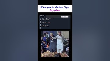 One Copy, Two Nightmares 😵‍💫 #shorts #youtubeshorts #viral #codng #python #backenddevelopment