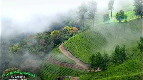 عبد الولى الاركانى سورة الرحمن   YouTube