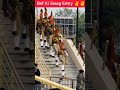 BSF Ki Swag Entry – India Ka Real Hero Moment 🇮🇳🔥 #shorts #indiasultimatewarrior #proudindian