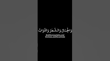 ألم ترى ان الله يسجد له من في السموات | كروما شاشة سوداء القرآن الكريم |القارئ ياسر الدوسري