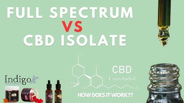 How does CBD work? Understanding the Full Spectrum vs CBD Isolate debate!