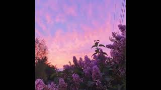 [FREE] Lo-Fi Type Beat | Window