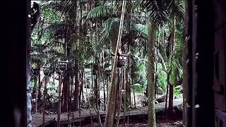 Youre A Female Student Who Gets Her Body Back Asmr