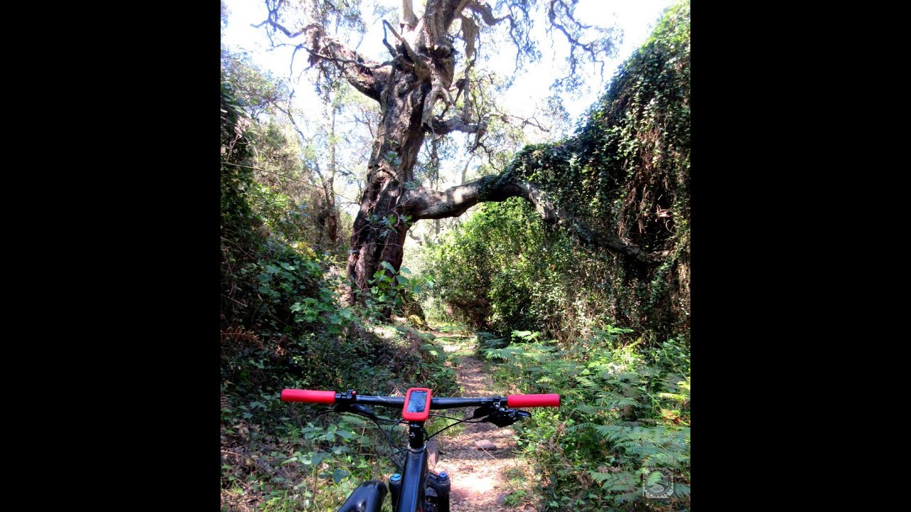MTB en descenso por el BARRANCO ALMANZOR en la SIERRA del ESPADÁN. ALMEDÍJAR (Castellón ESPAÑA).