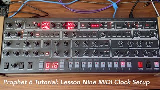 Sequential Circuits Prophet 6 Tutorial Lesson 9: MIDI Clock Setup