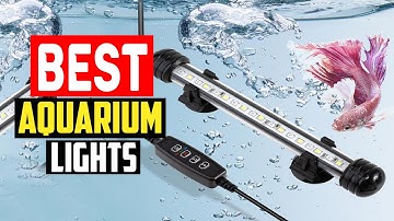 ✅Top 5 Best Aquarium Lights of 2025