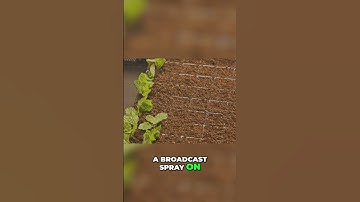 Robot Weeding Saves Farm $2,000 & Reduces Herbicides!