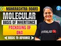 Class 12 Biology - Chp 4 Molecular Basis of Inheritance | Packaging of DNA | Part 2 | Gyanlab