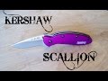 Kershaw Scallion Purple Review 1620PUR