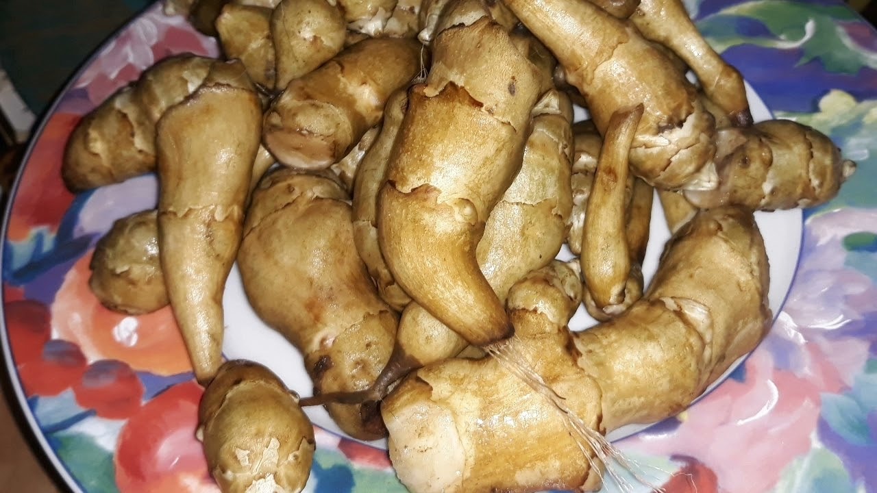 Plant🌱astisch zur #Topinambur #Notnahrung