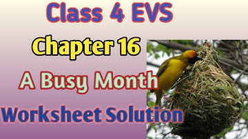 A Busy Month II Class 4 EVS chapter 16 II Worksheet Solution