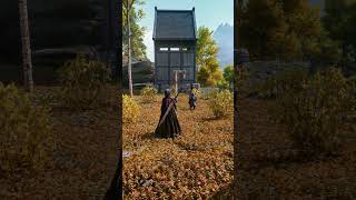 #SkyrimMod #dlss5  #shorts #gaming #Skyrim #moddedskyrim  #SkyrimGraphic #skyrimcombat #gameplay