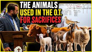 Animals Used in the Old Testament for Sacrifices #animalsacrifice #bloodsacrifice #oldtestament