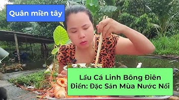 Quân miền tây | Lẩu Cá Linh Bông Điên Điển: Đặc Sản Mùa Nước Nổi