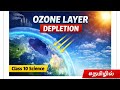 Ozone Layer &amp; Ozone Layer Depletion | Causes, Effects &amp; Protection | Class 10 Science #தமிழில்