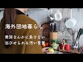 海外団地暮らし 差別に負けない!最近も起こった悲しい事 ドイツに住む日本人の日常/激安ス一パ一Lidlでの買い物