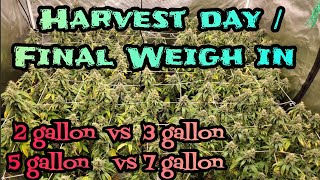 Harvest Day / Final Weigh in 2 gallon vs 3 gallon vs 5 gallon vs 7 gallon ,#MarsHydro#FC6500 #EVO