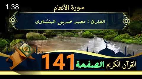 القرآن الكريم الصفحة 141 سورة الأنعام _ القارئ محمد صديق المنشاوي