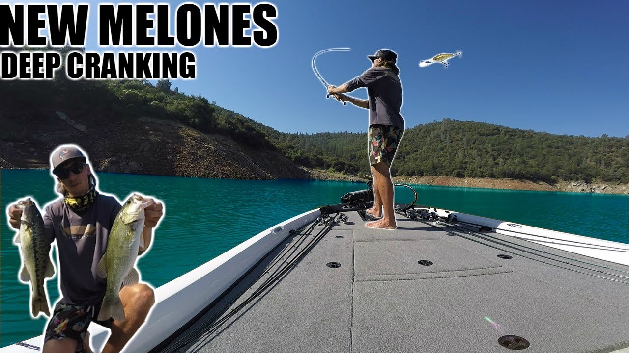 NEW MELONES - SUMMER TIME DEEP CRANKING