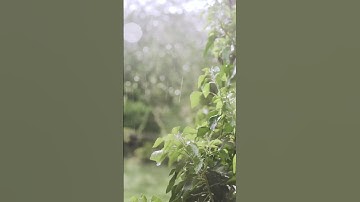 Tốc độ thành công của bạn phải nhanh hơn tốc độ già đi của cha mẹ bạn .