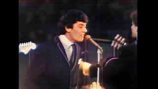 Watch Hollies Rockin Robin video
