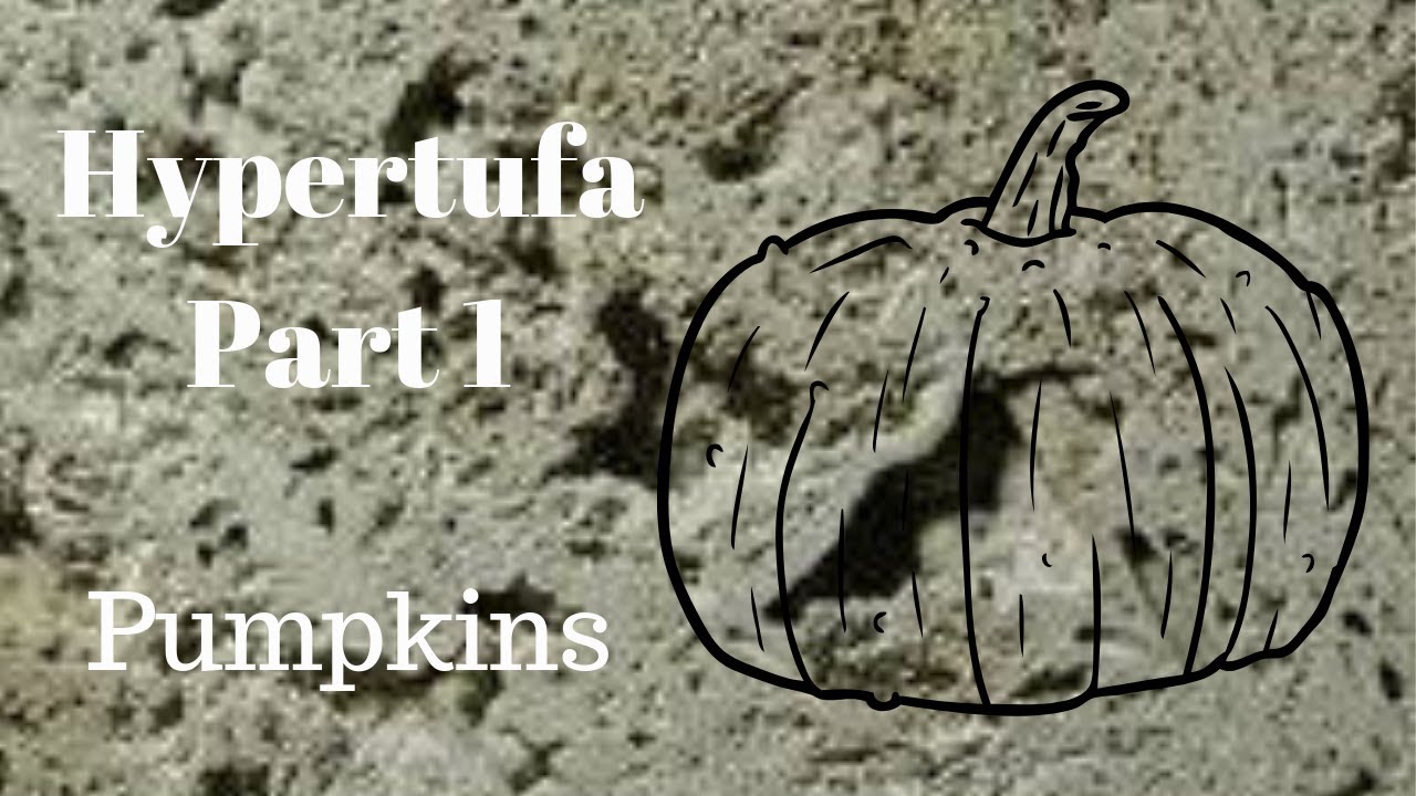 ГИПЕРТУФА ЧАСТЬ 1 - ТЫКВЫ