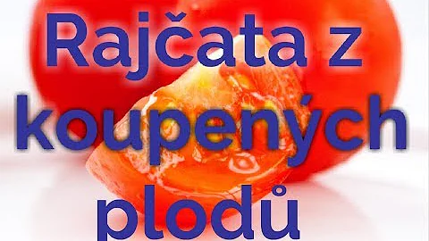 Co se týče bočních výhonů rajčat?