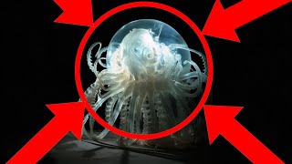 YOU HAVE WHAT INSIDE OF YOU??? | Things Simplified