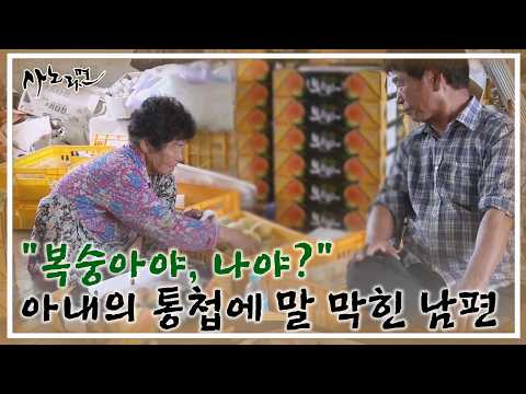 ＂복숭아야, 나야?＂ 아내의 최후통첩에 말문 막힌 남편 MBN 260802 방송