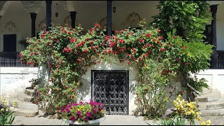 Conacul Bellu Din Urlați, O Adevărată Bijuterie Arhitectonică -Video