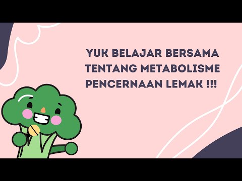 Video: Siapa yang mengemulsi lemak di usus halus?