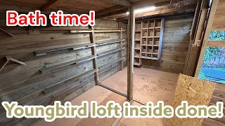 видео: Завершение строительства голубятни Youngbird 🏠 | Гоночные голуби наслаждаются ванной 🕊️💦 картинка: Завершение строительства голубятни Youngbird 🏠 | Гоночные голуби наслаждаются ванной 🕊️💦