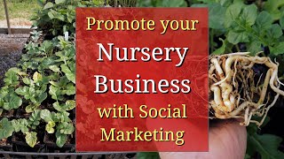 Promote your Nursery Business with Social Marketing