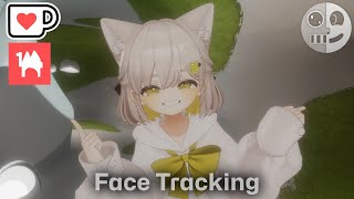 Shirazume/しらつめ - Face Tracking Add on