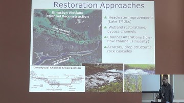 Nutrient Driver Paradigm for Dissolved Oxygen in Small, Low Gradient Streams