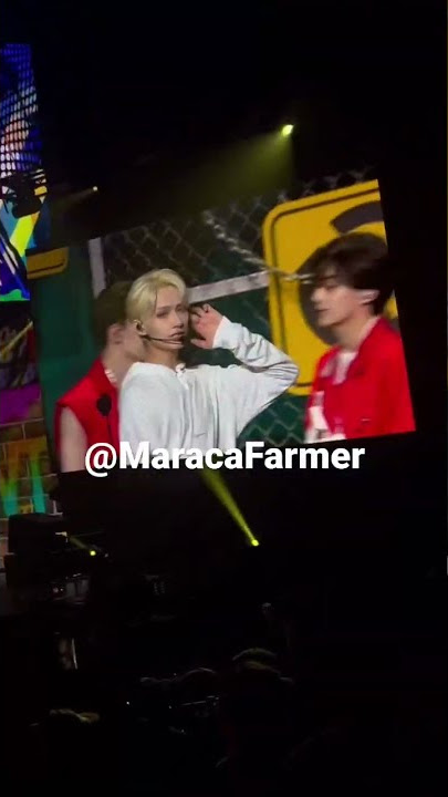 Jun & Mingyu’s part in Mansae Seventeen Be the Sun @ Vancouver