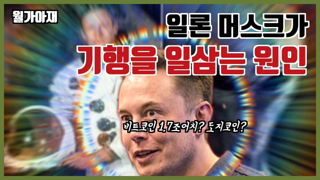 일론 머스크의 비트코인 발행 및 기행에 대한 지극히 주관적 해석