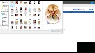 Create a lab practical with your own images in McGraw Hill Connect screenshot 5