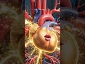 القلب هو المحرك الأساسي لأجسامنا، والاهتمام به يبدأ بخطوات بسيطة مثل التغذية السليمة والحركة.